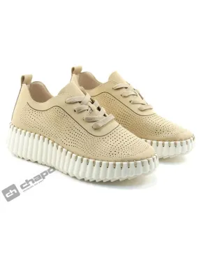 Zapatillas Deportiva Camel Wall & Fley Ah-9634 A4